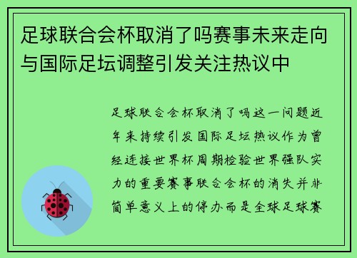 足球联合会杯取消了吗赛事未来走向与国际足坛调整引发关注热议中
